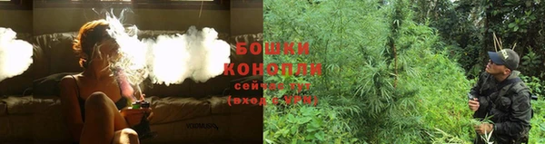 гидропоника Абаза