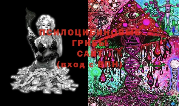 круглые Семёнов