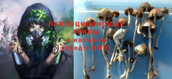 ALPHA PVP Алзамай