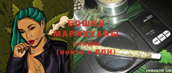 прущие грибы Семилуки