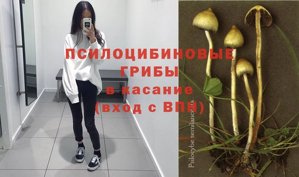 гидропоника Абаза
