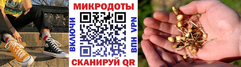 Псилоцибиновые грибы MAGIC MUSHROOMS  Дрезна 